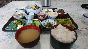 254山菜定食.JPG